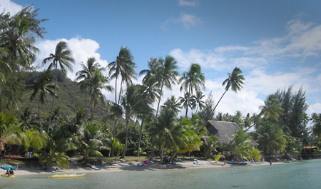 Papetoai bay