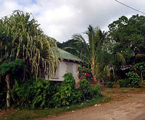 woning in lushgreen