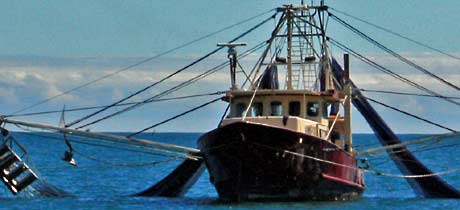 Trawler