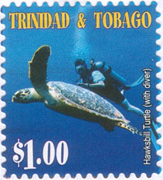 Turtle Village Trust